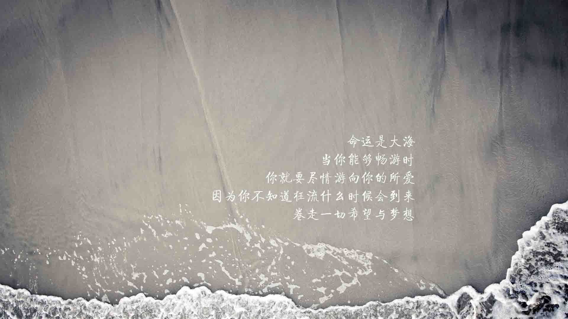 有机蔬菜大棚需要投资多少钱呢（大棚有机蔬菜每亩收入）